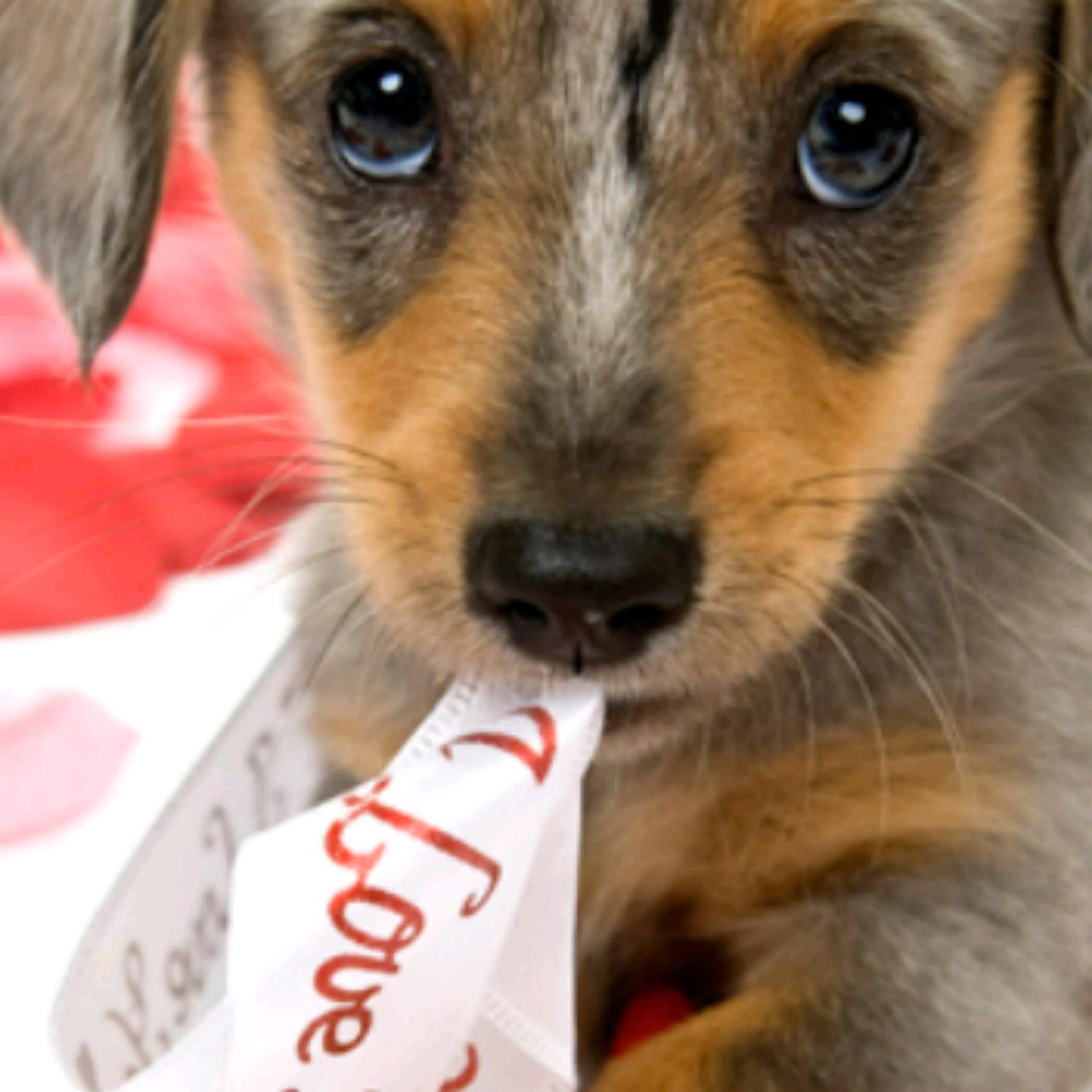 Valentines Gift Boxes