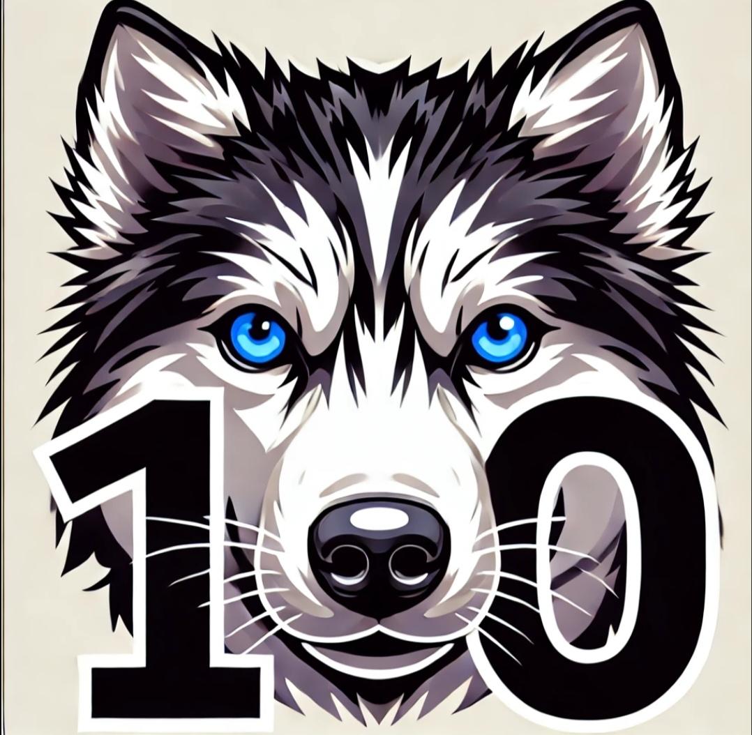 BONO 10 paseos personalizados 