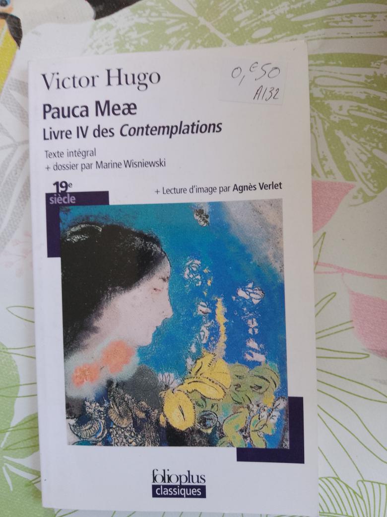 Pauca Meae, Victor Hugo, les contemplations