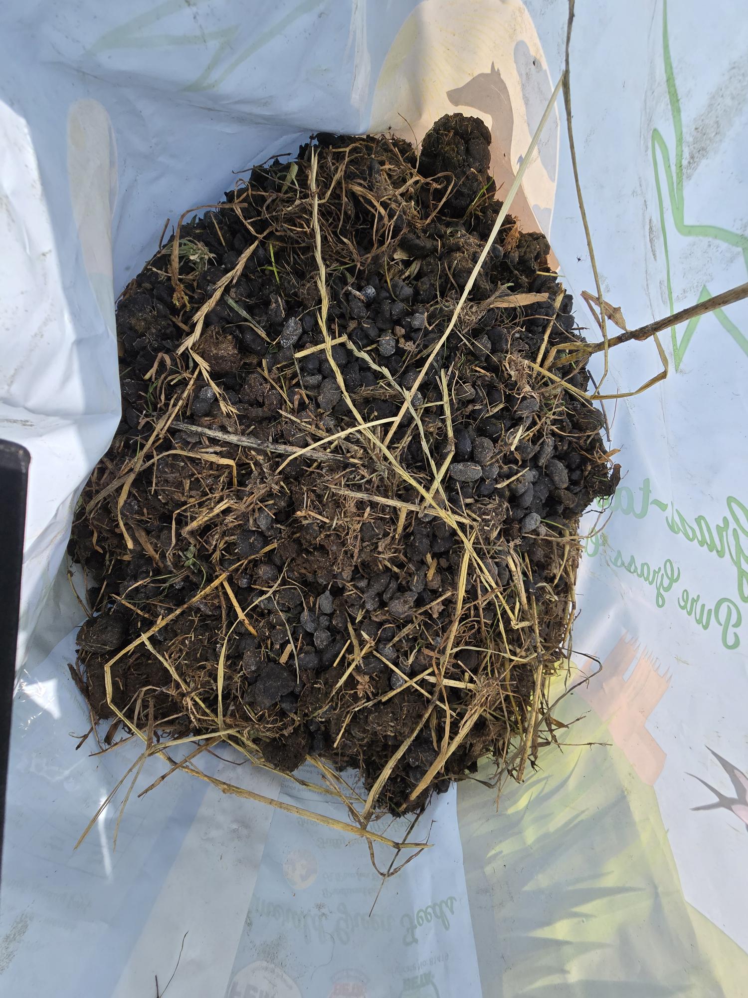 Alpaca magic gardeners beans