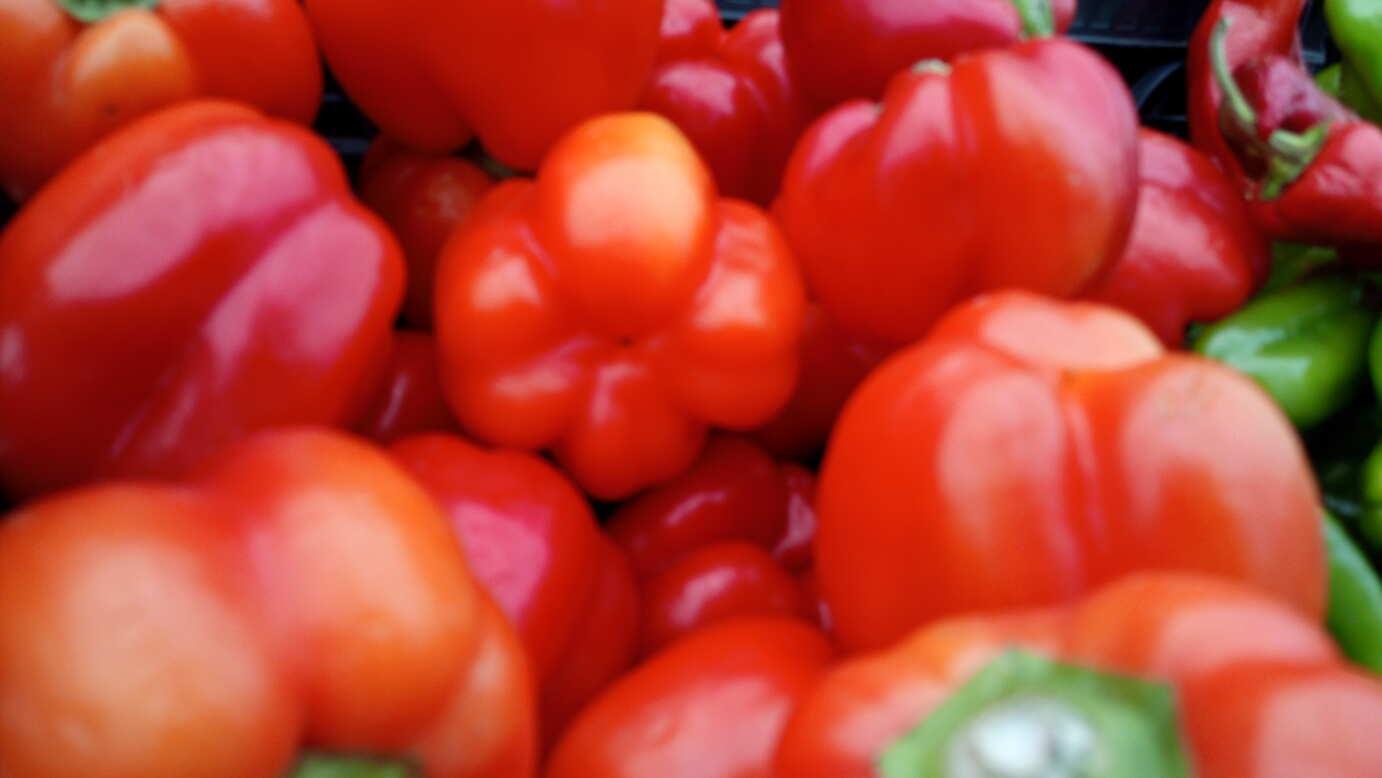 Pimiento California Rojo