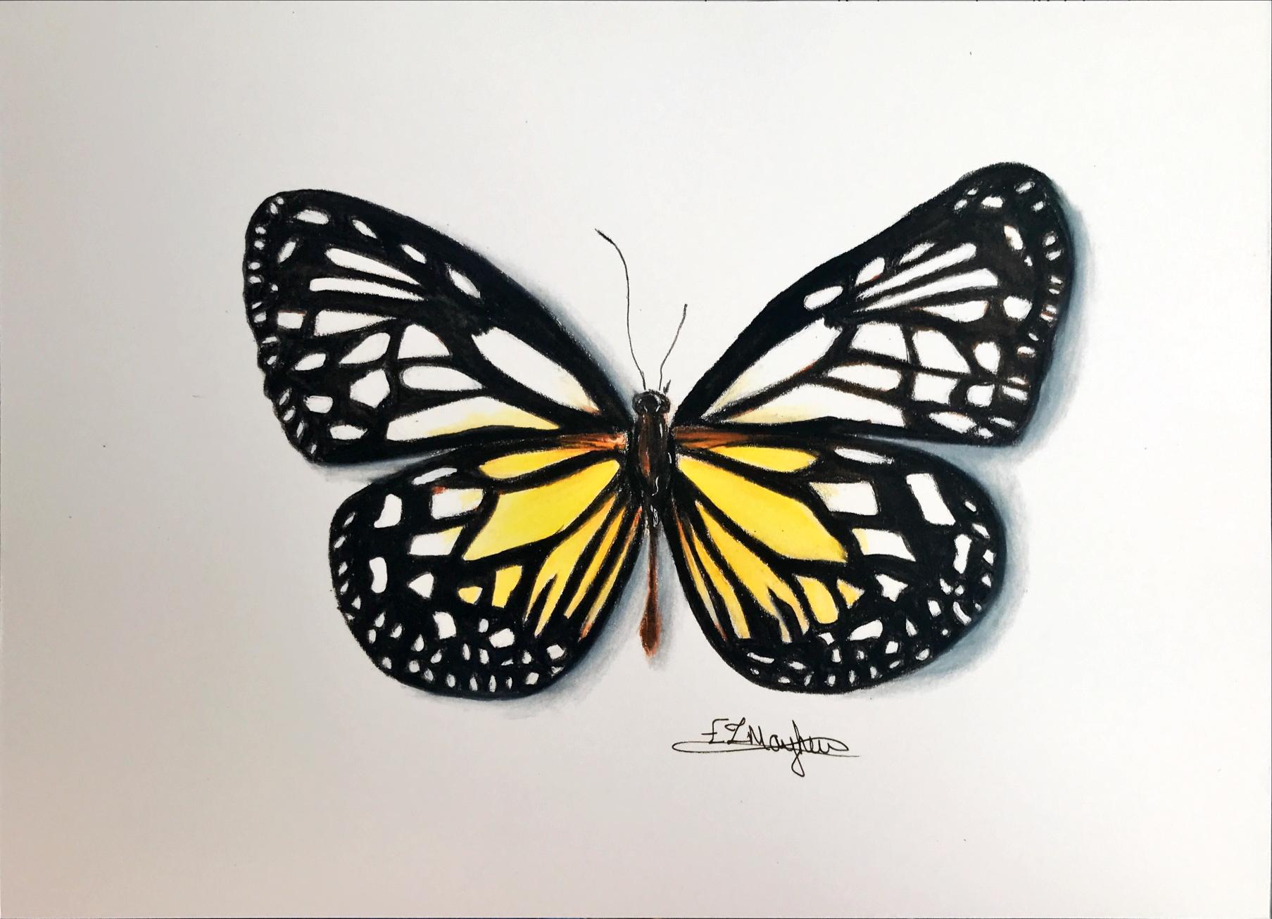 Butterfly #2 A4 - CLEARANCE 