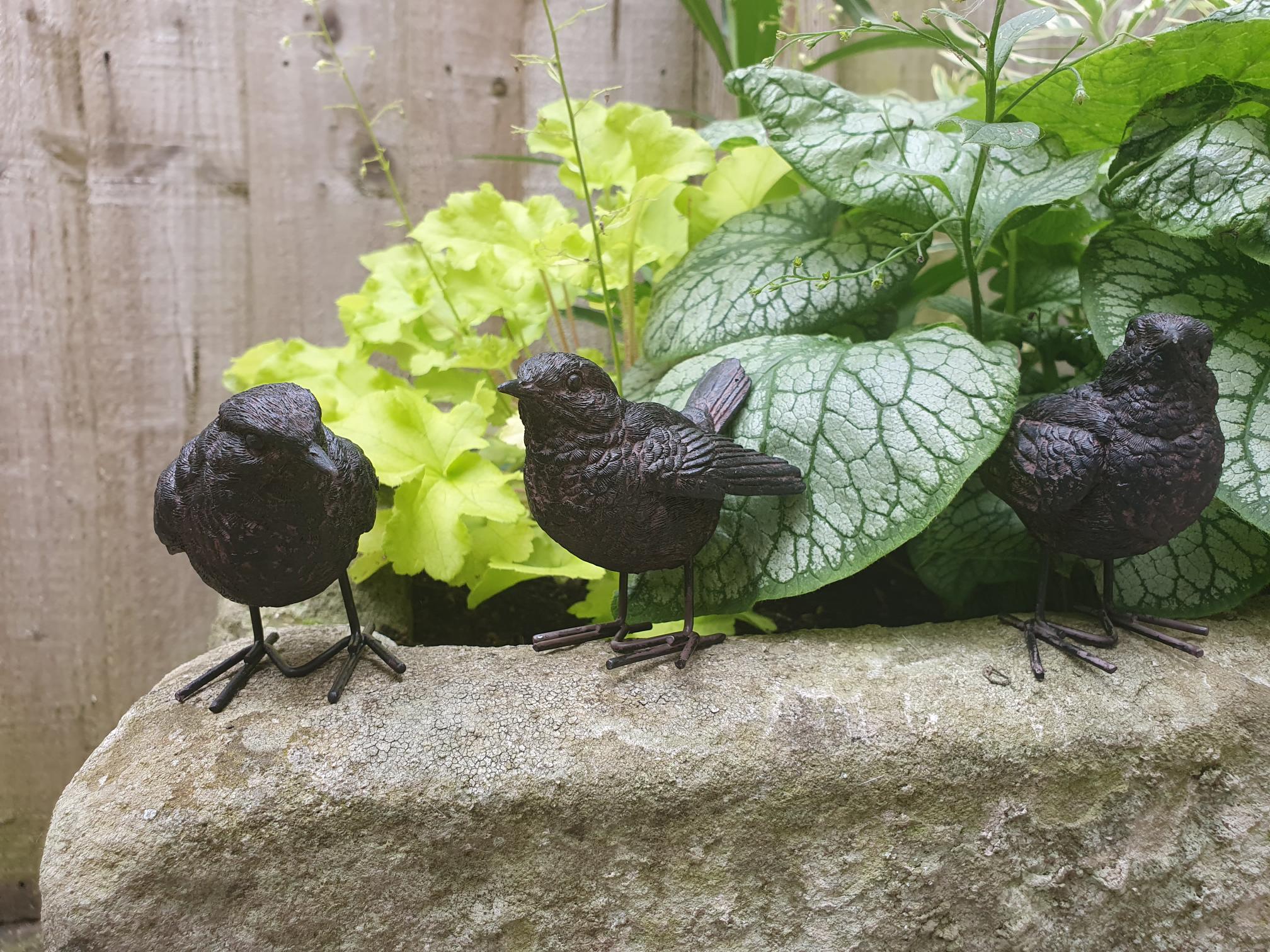 Wrens