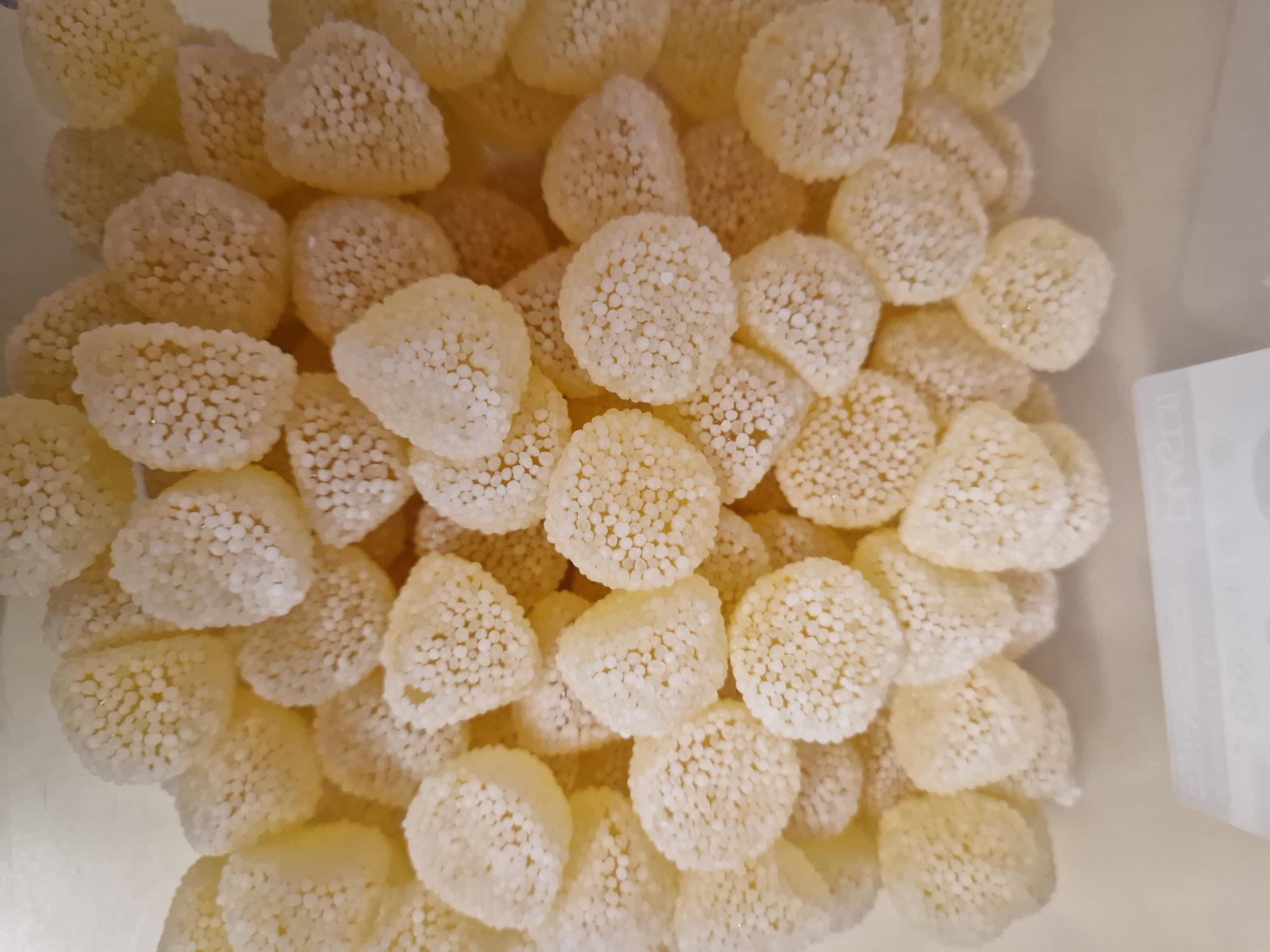 Mûre perlé blanche ( 100g)