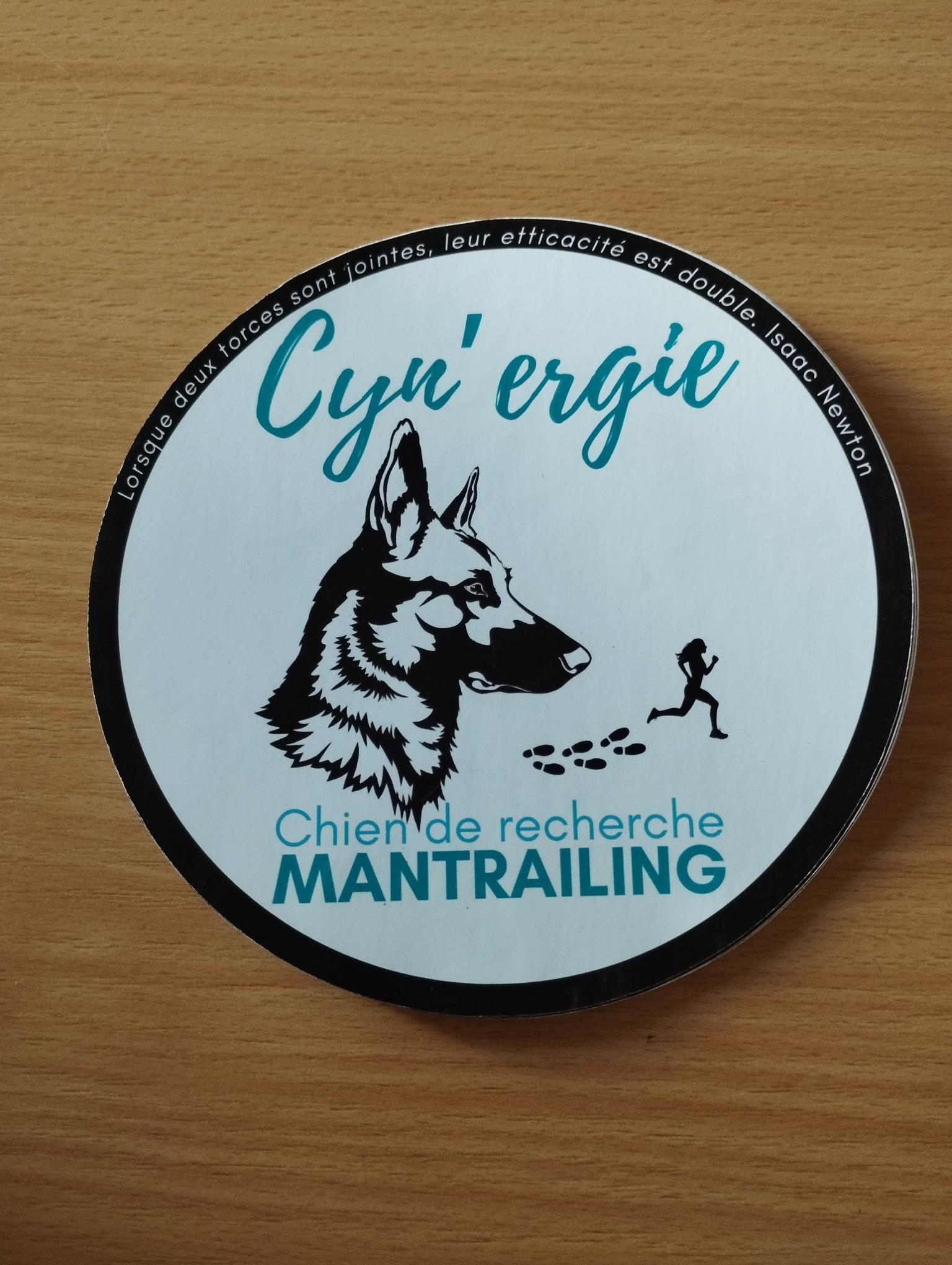 Sticker Cyn&#039;ergie 