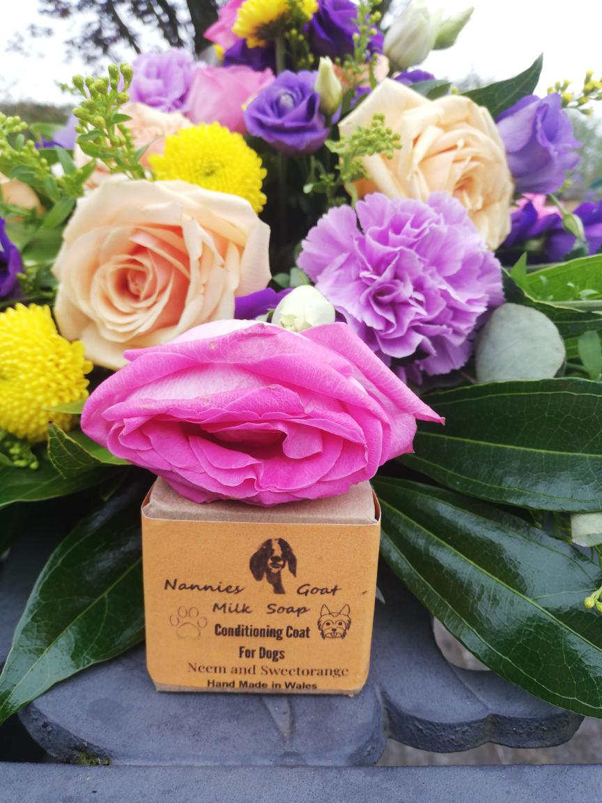 Conditioning Coat Dog Soap 55g