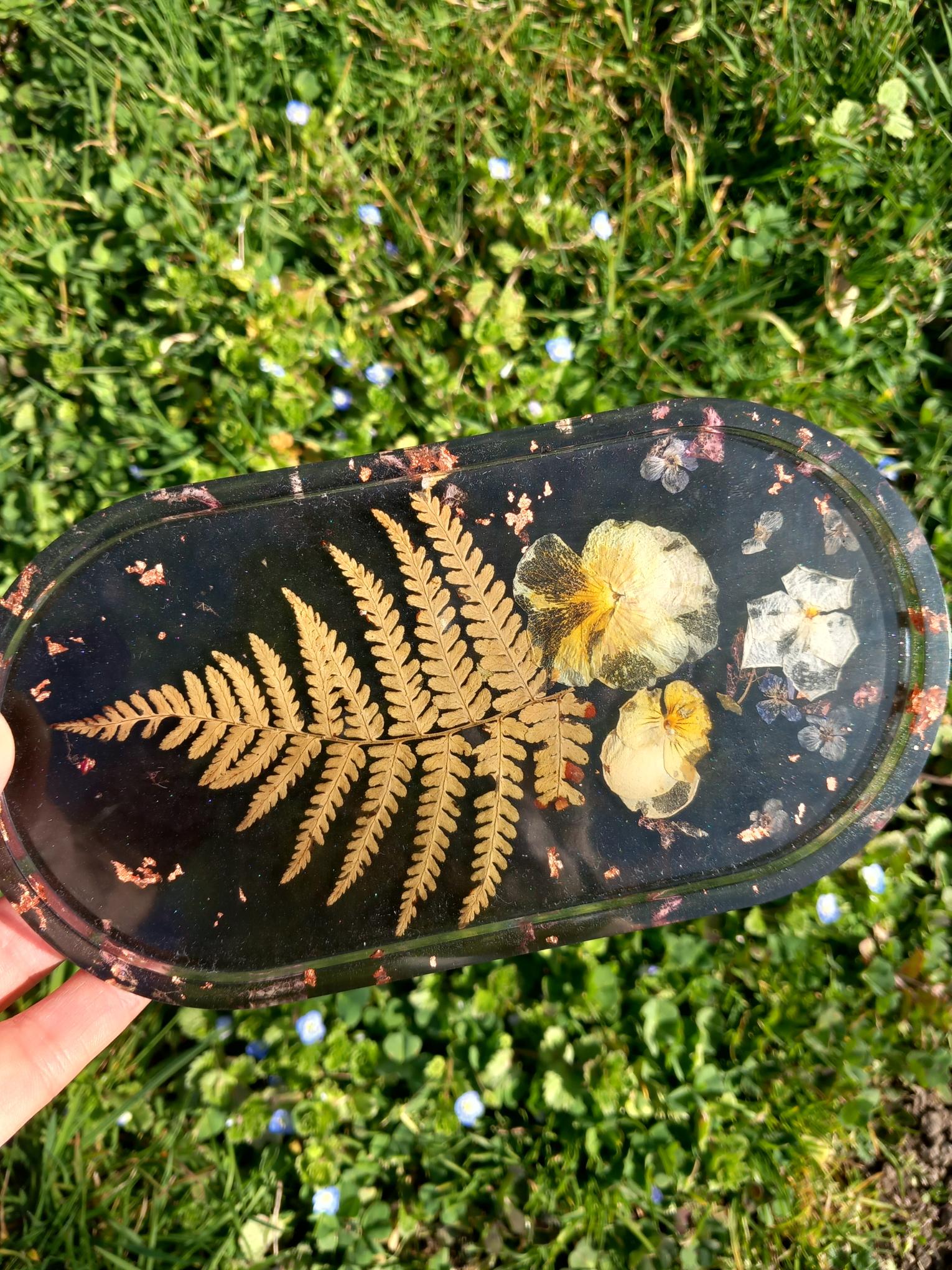 Vide poche Brocéliande 