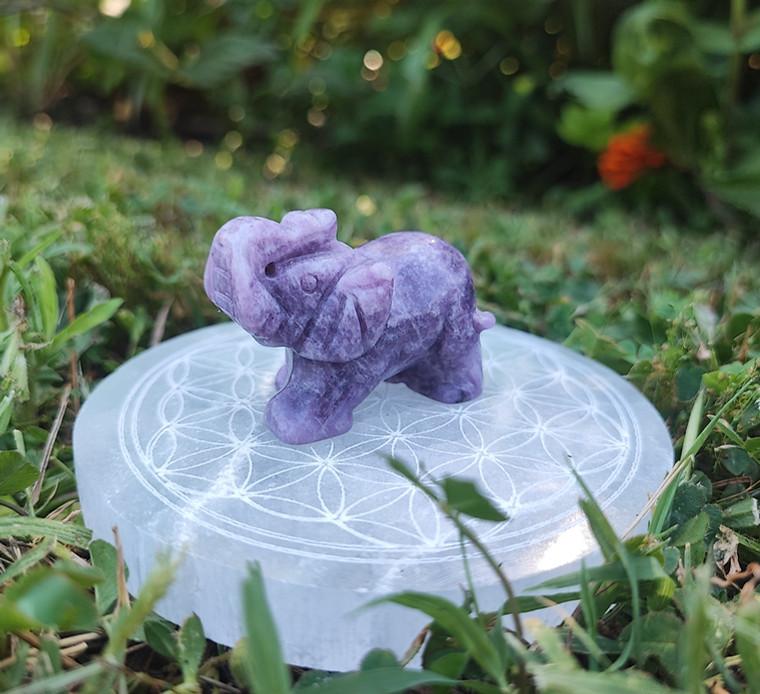 Éléphant Lépidolite A+