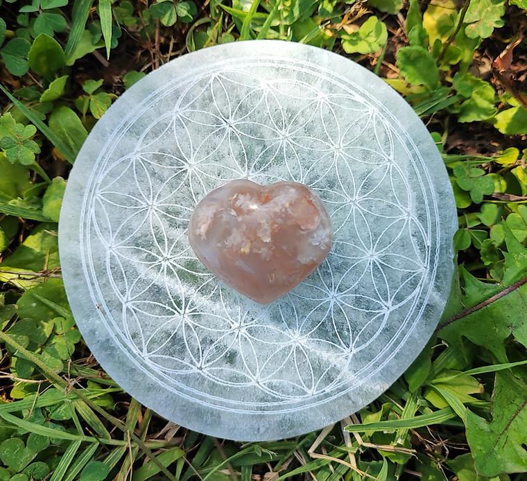 Coeur Fleur de cerisier A 