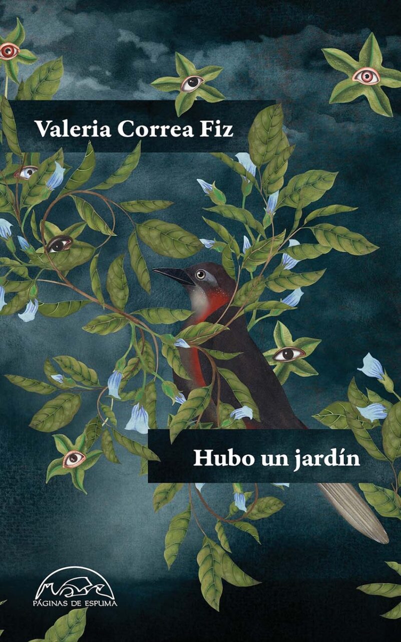 Hubo un jardín - Valeria Correa Fiz