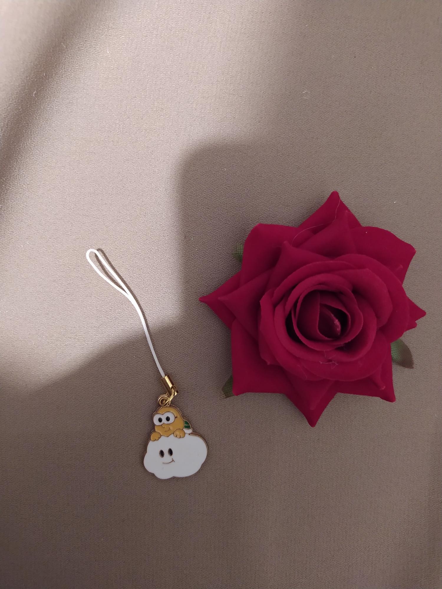 Bijoux de téléphone 