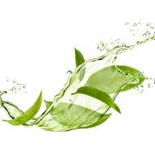 Soap Massage Bar - Mint &amp; Tea Tree 