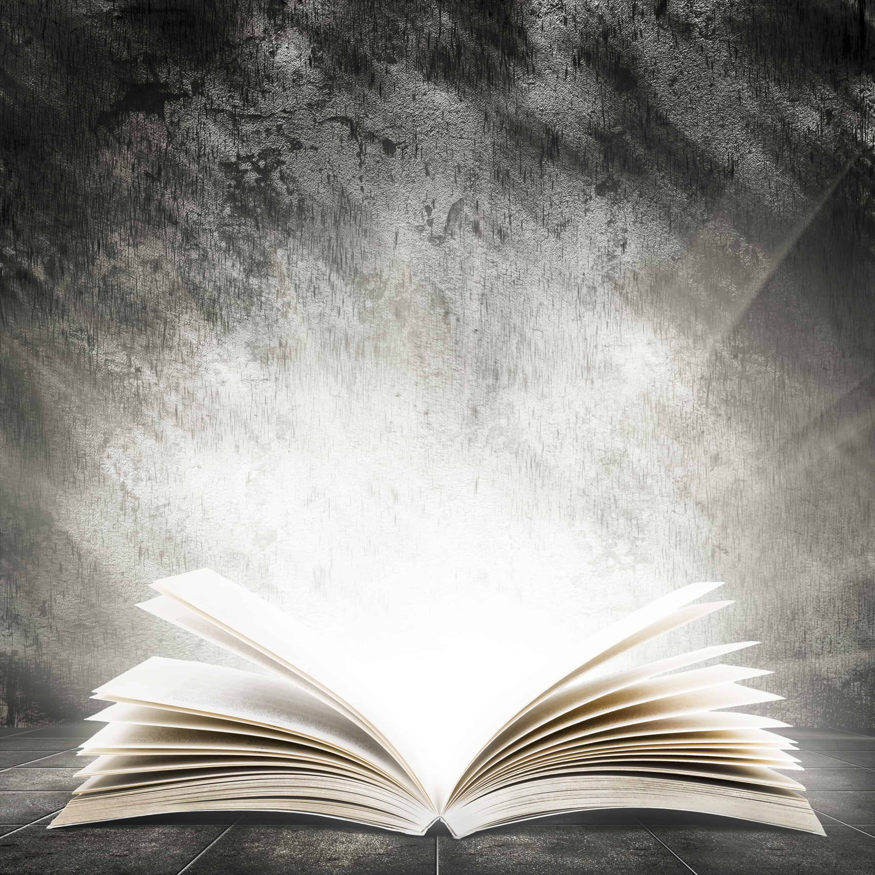 Il mercante di libri maledetti