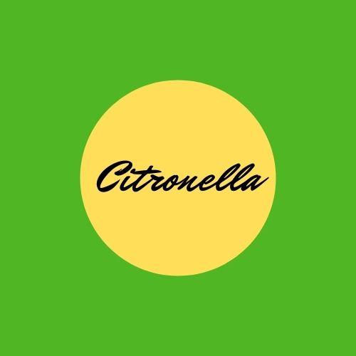 Citronella - Essenza
