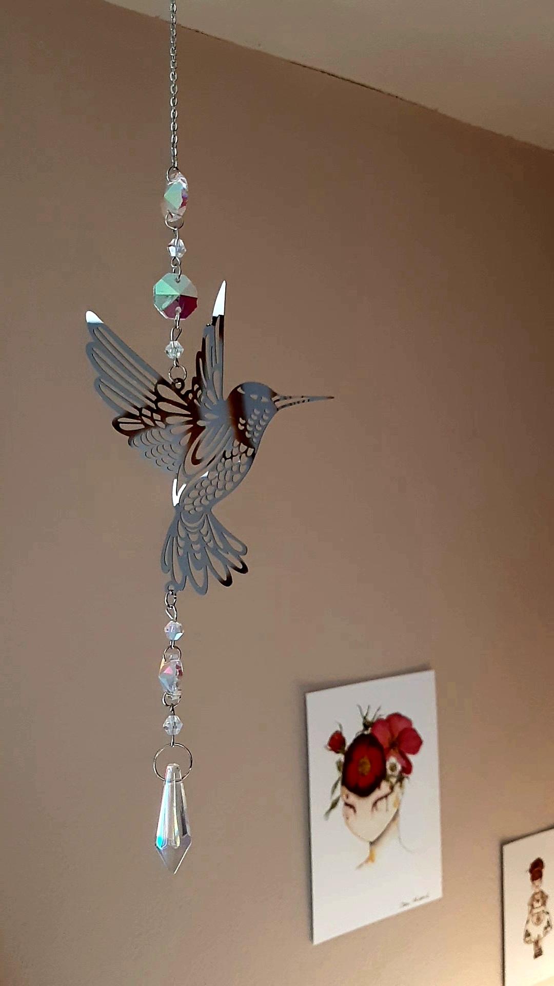 Attrape soleil Colibri