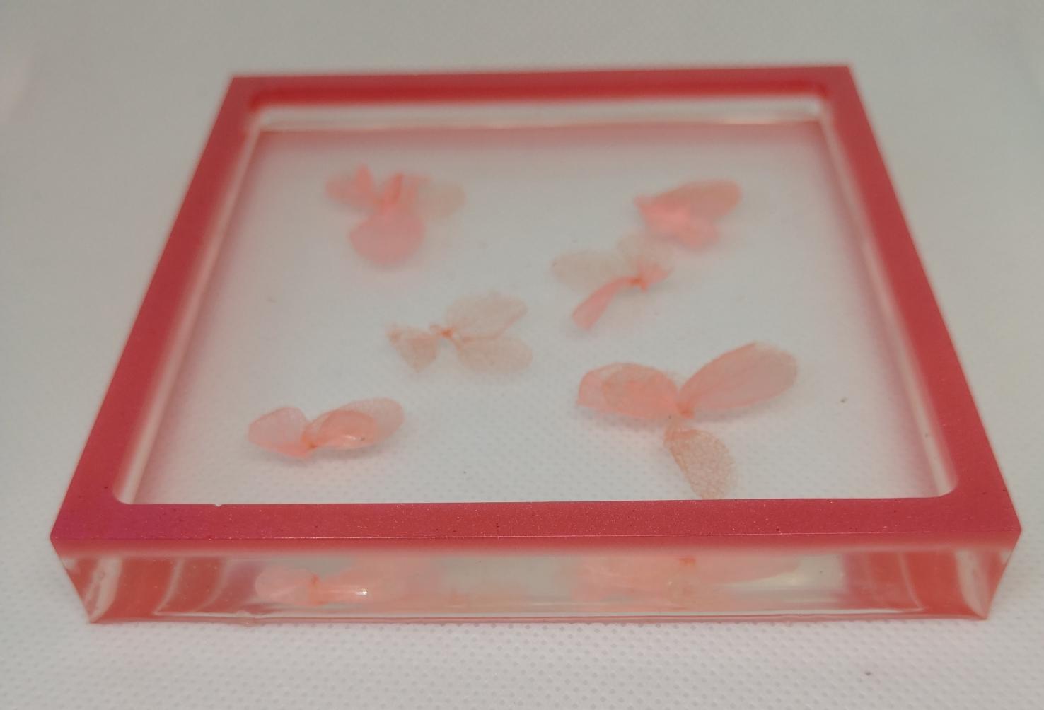 Vide poche avec inclusion de fleurs 