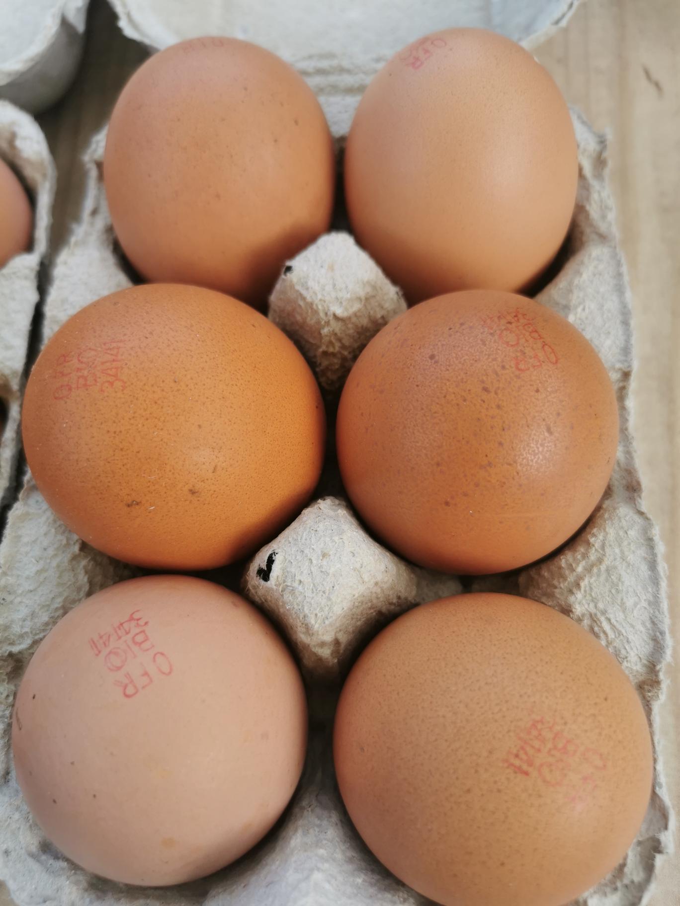 6 Œufs Bio XL