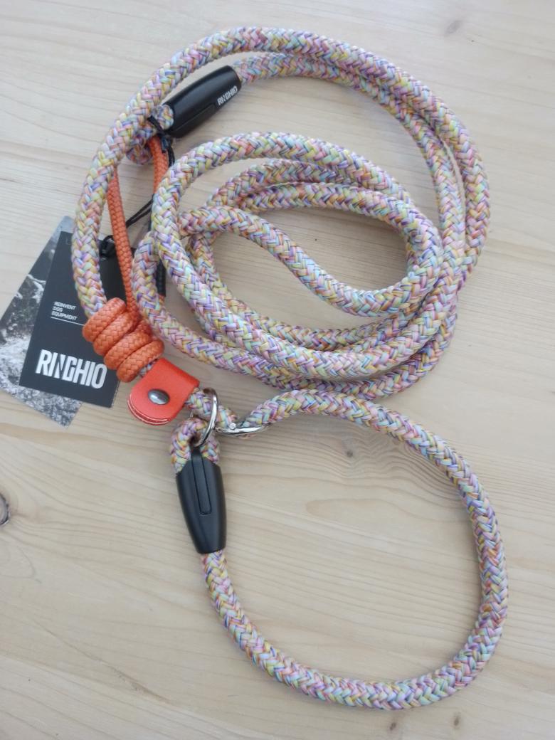 Guinzaglio Retriever Ringhio