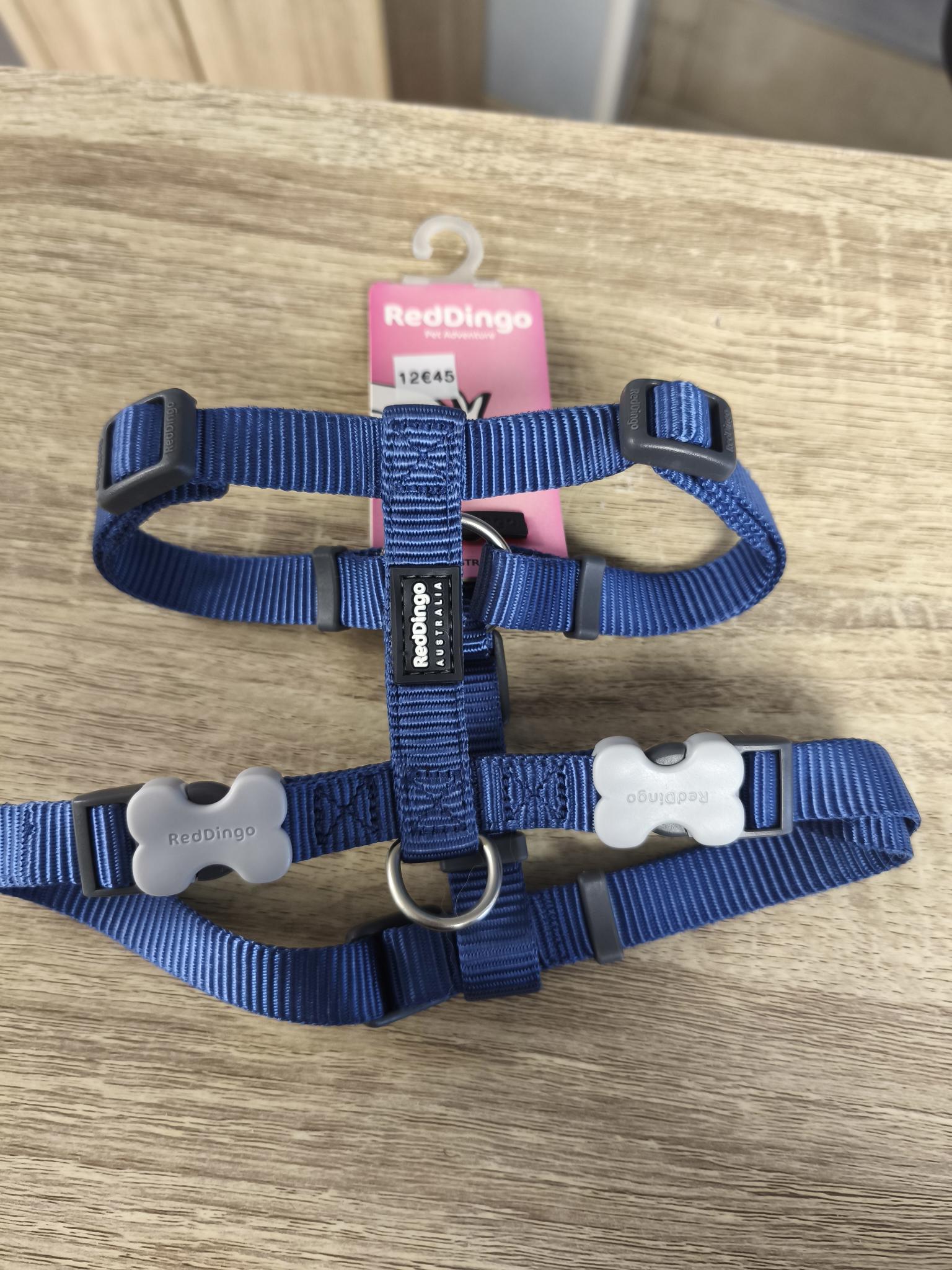 Harnais uni bleu  taille: 15mm  cou: 30-48cm    poitrail: 36-54cm