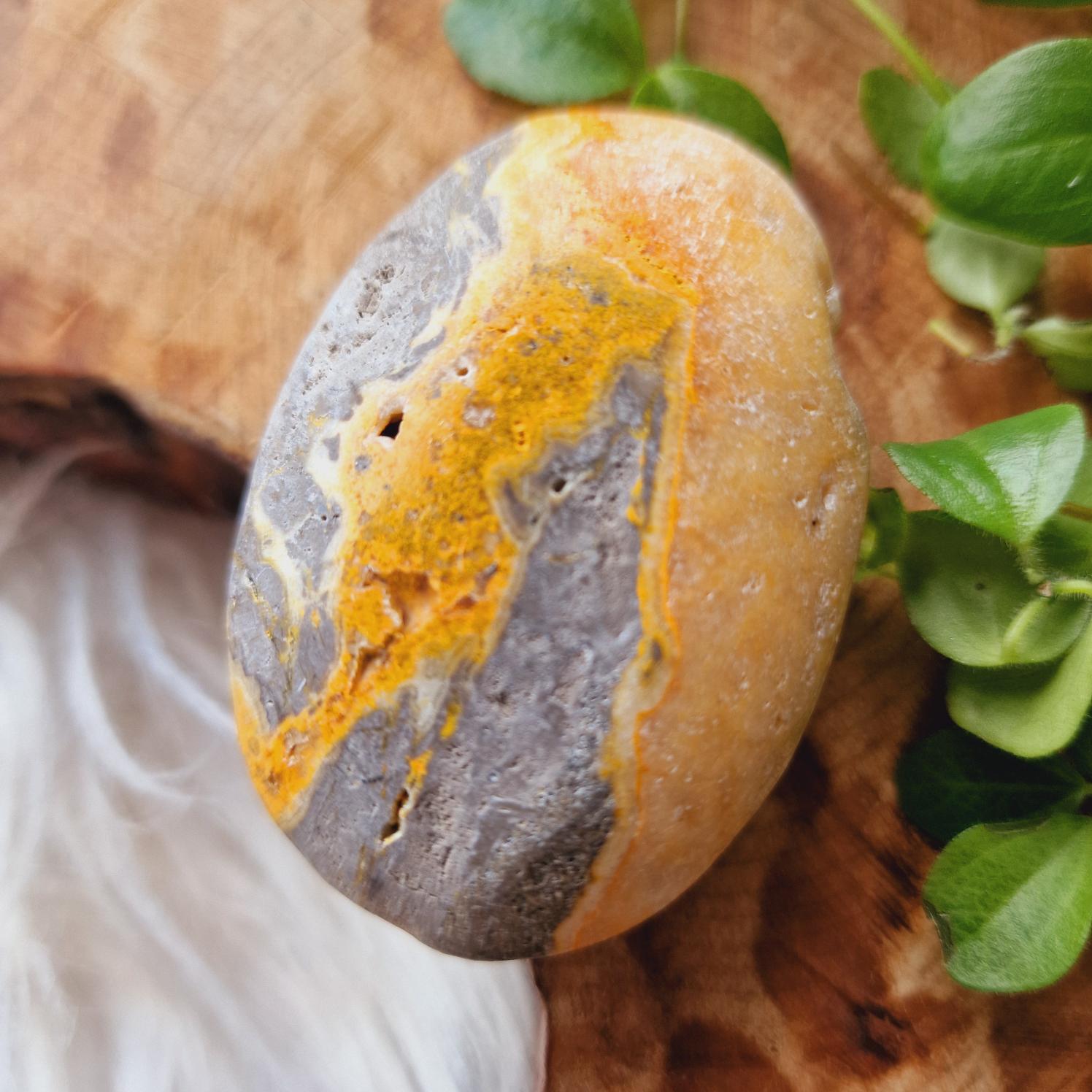 Bumblebee Jasper Palm 