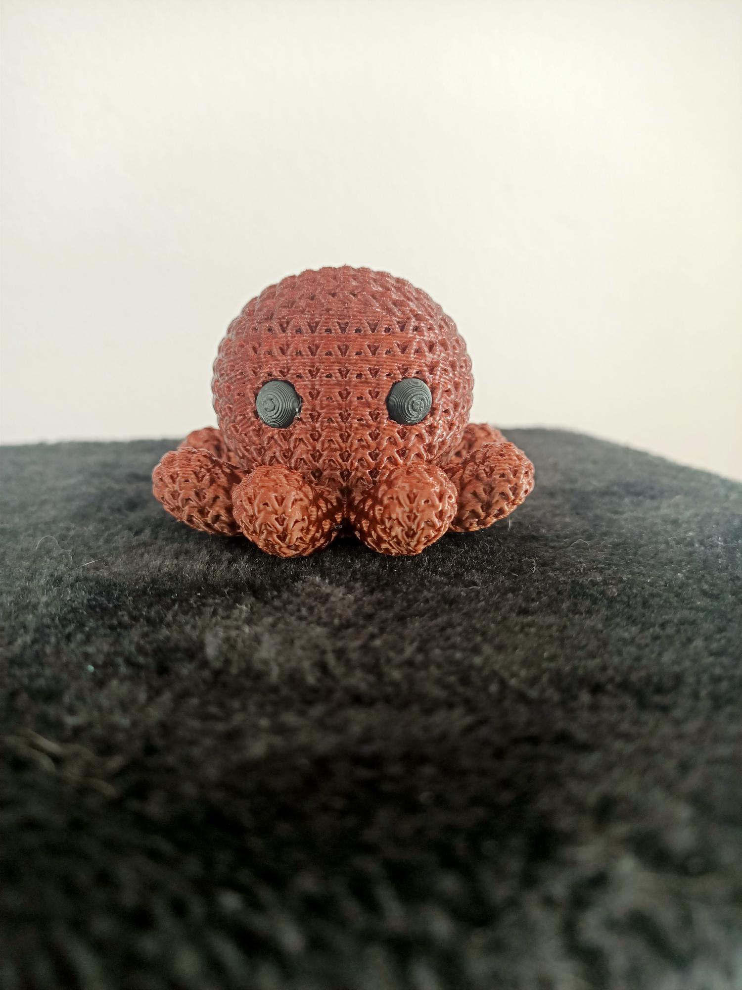 Octopus