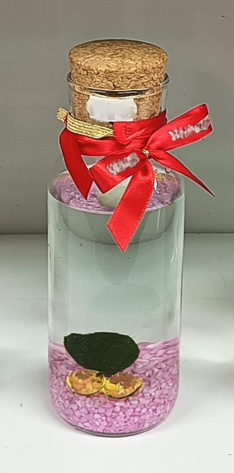 Vaso con marimo 500 ml