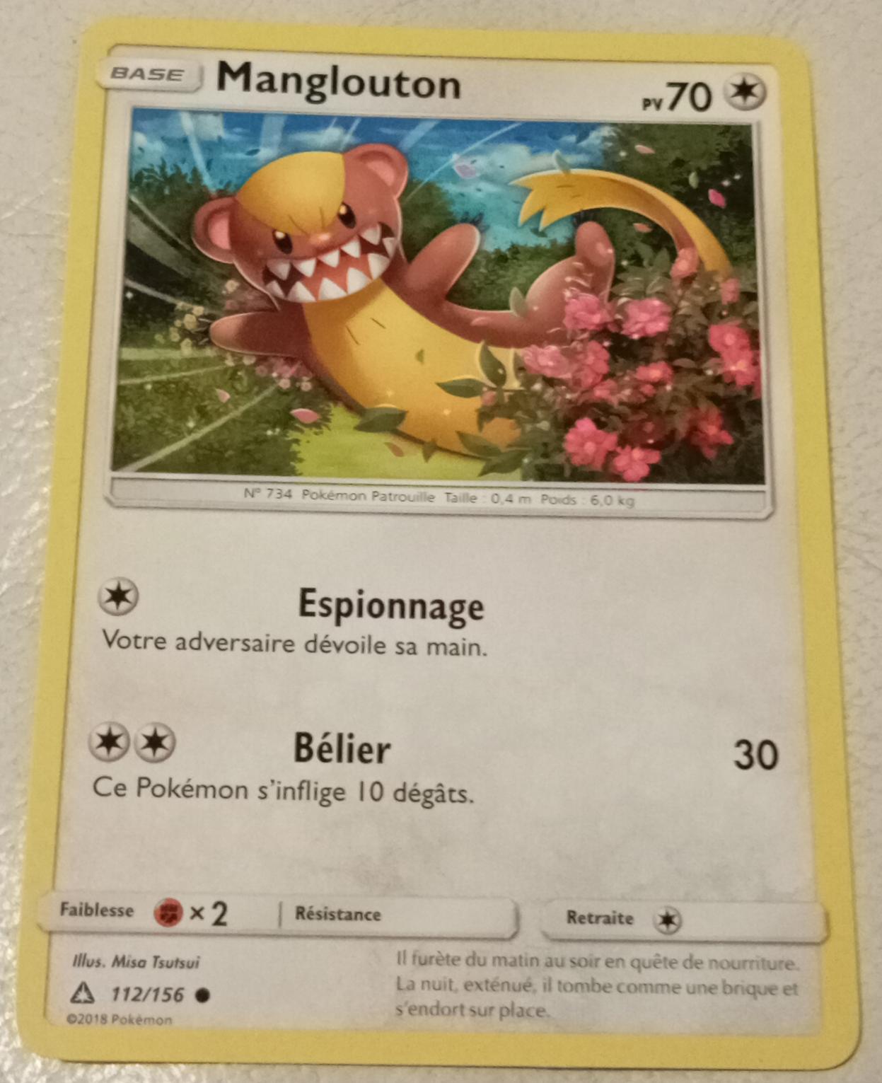 Carte pokémon Manglouton
