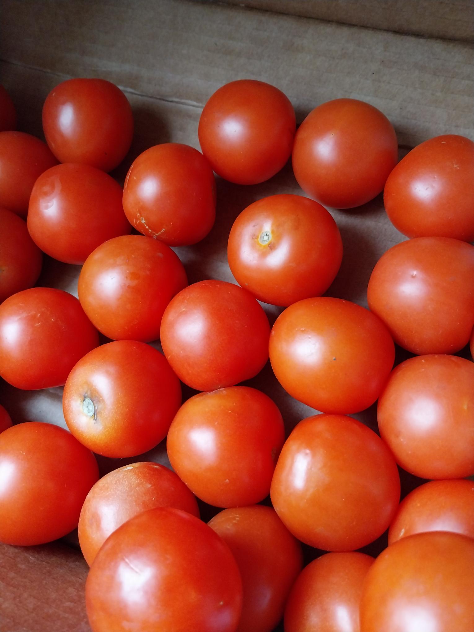 Tomato (Av 150g) each