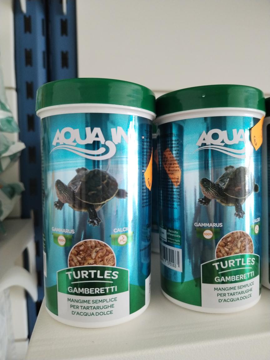 Turtles Gamberetti